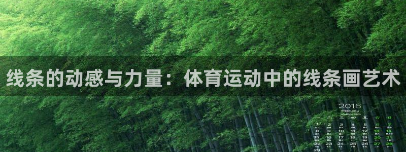 u球体育官网下载