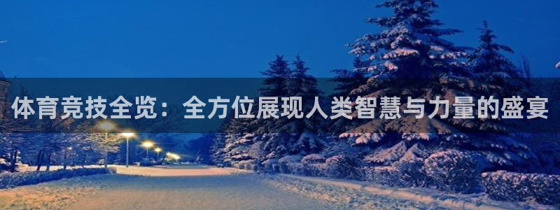 u球体育官网下载：体育竞技全览：全方位展现人类智慧与力量的盛宴