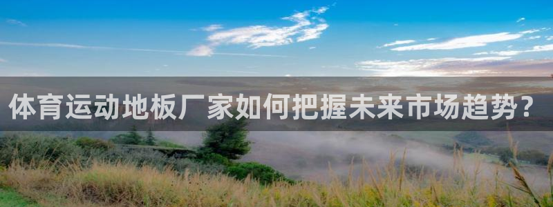 u球体育app官方下载