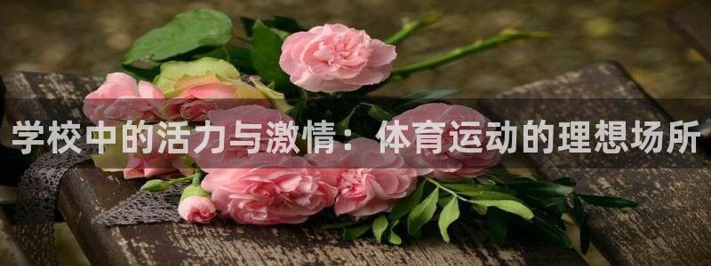关键词：学校中的活力与激情：体育运动的理想场所