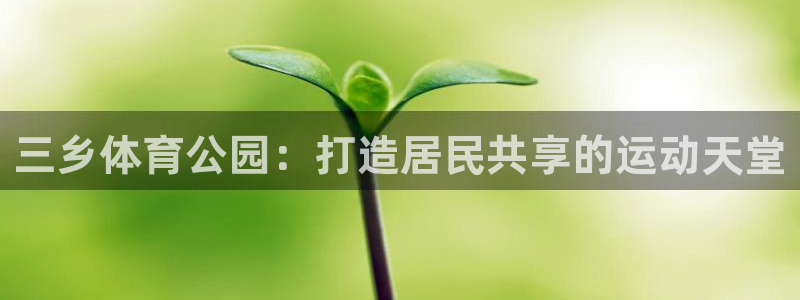 u球体育官网